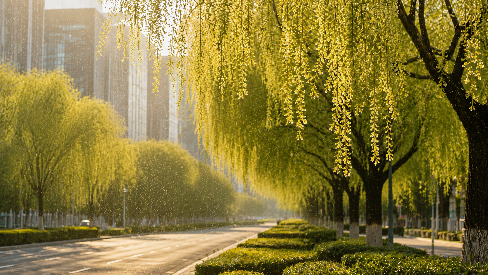 Spring Pollen Allergies: Why More People Are Sneezing